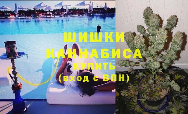 эйфоретик Белокуриха