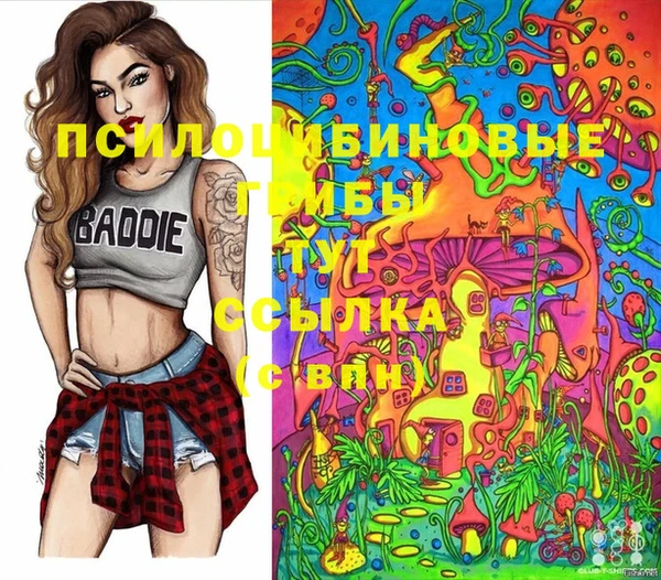 эйфоретик Белокуриха
