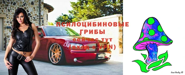 mix Новодвинск