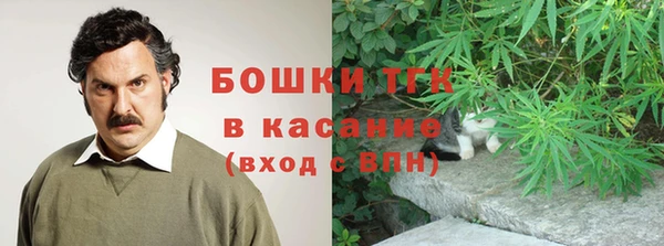 эйфоретик Белокуриха